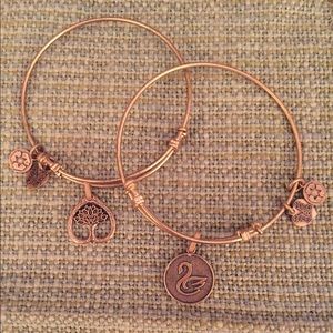 Set of 2 adjustable style bracelets